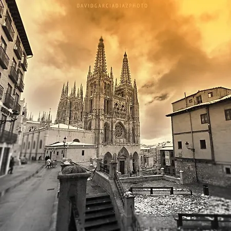 Happy Carrales 2* Burgo