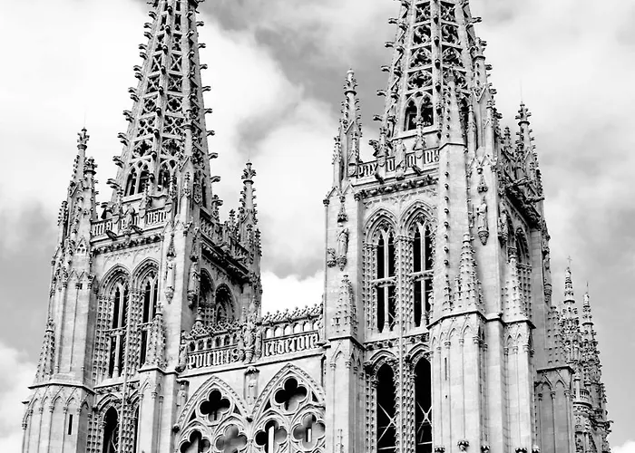 Happy Carrales Burgo